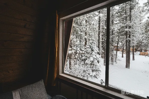 一幅窗外景色为雪林的画作