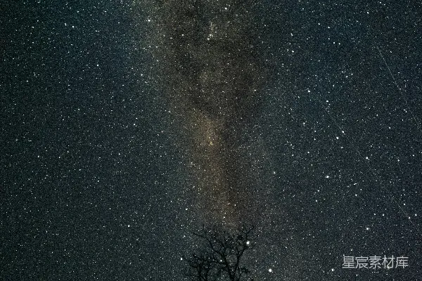 天上长满星星的树