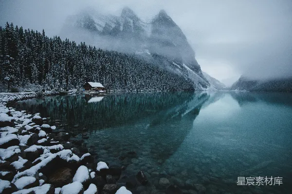 水边的翠绿松树