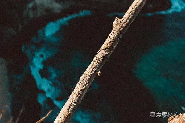 高清摄影 两根棕色的木枝与蓝色的海景背景。