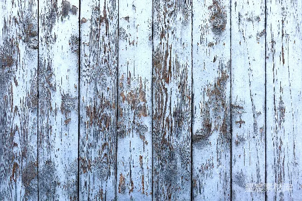 高清摄影 白色木栅栏