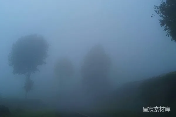 远处有一条雾气笼罩的道路，有三棵树。