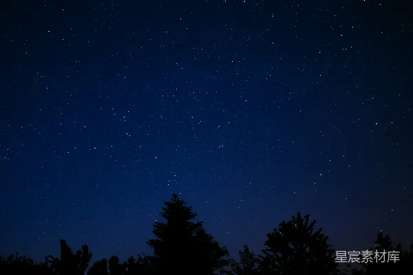 星空下树木的轮廓