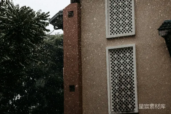白天棕色混凝土建筑附近有绿树