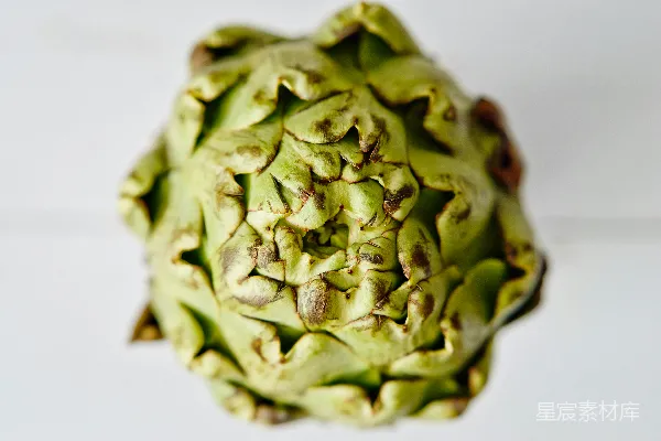 绿色花朵的近景摄影