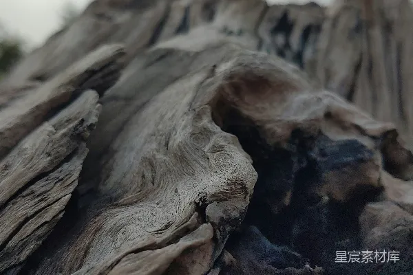 高清摄影 一张木头的特写照片
