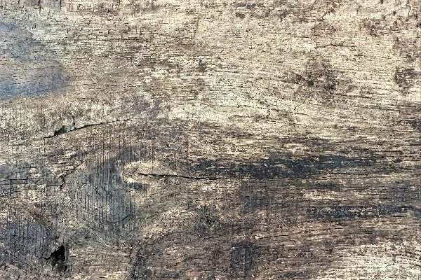 高清摄影 一张木头的特写照片