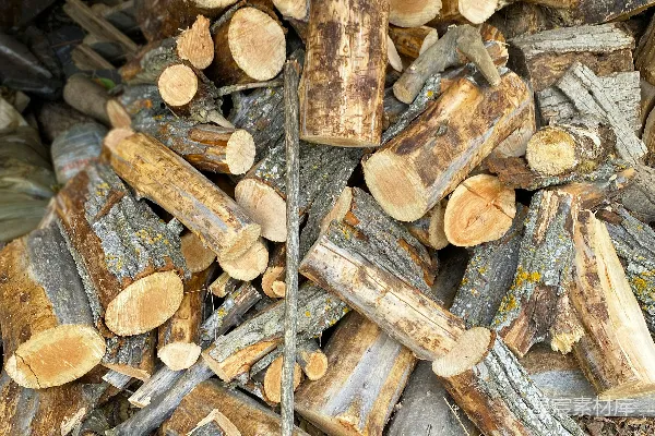 高清摄影 一堆砍伐的木头堆放在一堆原木之上