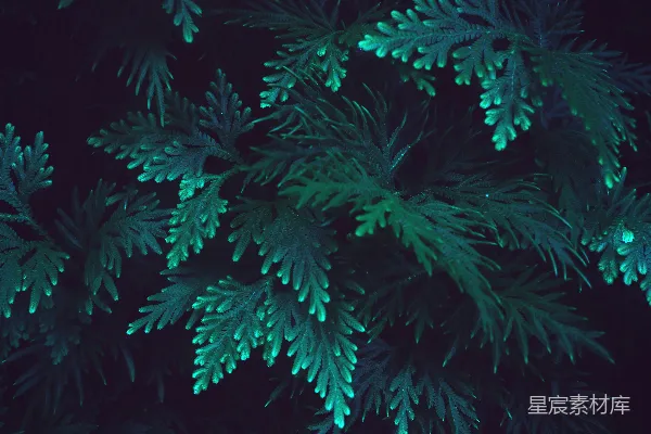 背景图案