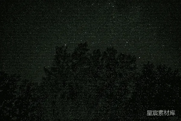 夜晚的森林
