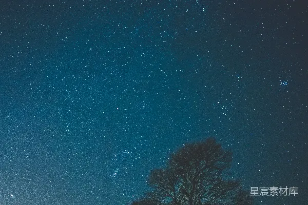 夜幕下的绿树与蓝天
