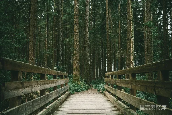 高清摄影 一座木桥横跨在森林中央