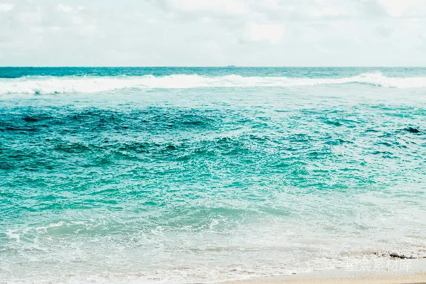 海滩上站立的人手中拿着冲浪板
