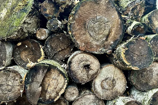 高清摄影 一堆切割好的原木堆叠在一起