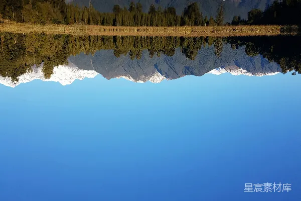 高清摄影 湖边绿树白昼时