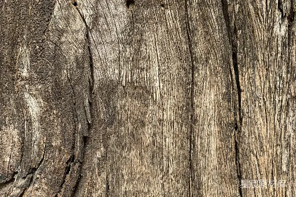 高清摄影 一张特写的木头。