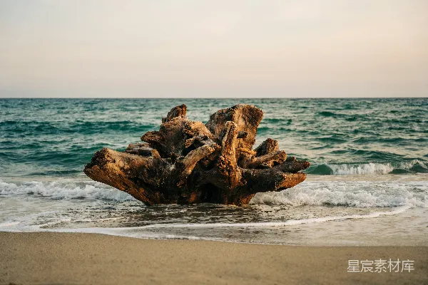 高清摄影 海滩上的漂流木，海浪拍打着岸边。