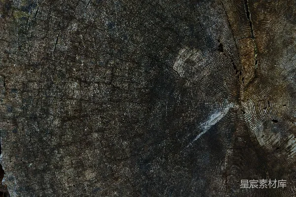 高清摄影 一个男人站在一块大木头前