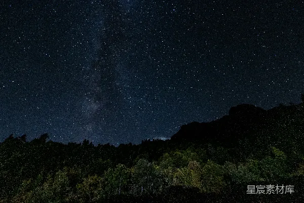 星空下的暗林轮廓