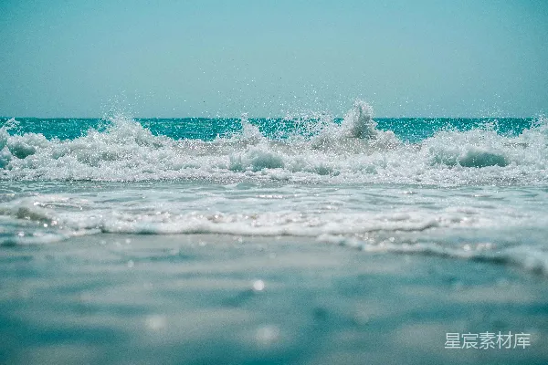 水域