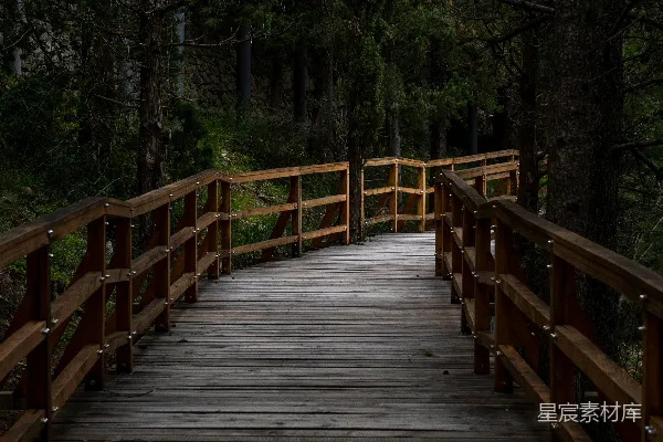 高清摄影 一片森林中间的一座木桥