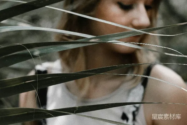 高清摄影 站在有线叶植物附近的女人