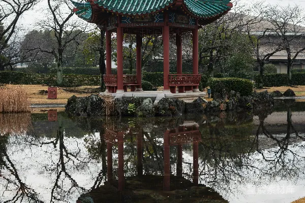 一个中间有亭子的池塘