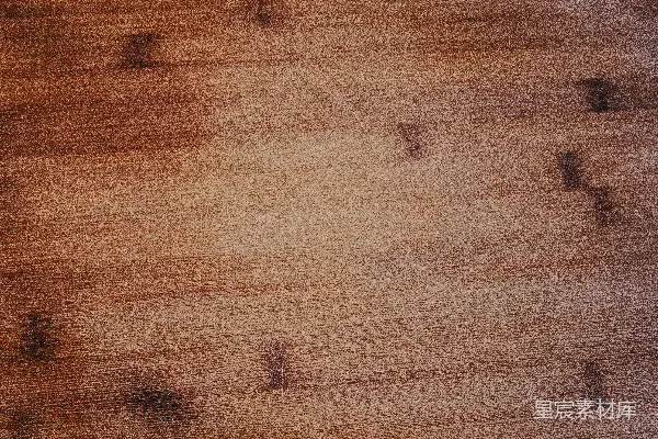 高清摄影 在棕色木质表面上的黑白昆虫