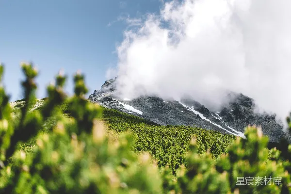 雾蒙山