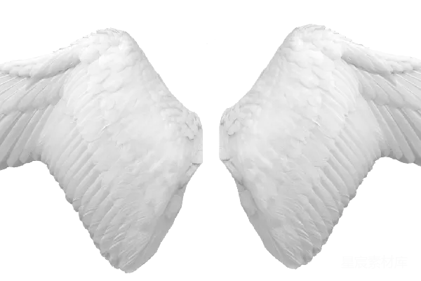 元素素材 PNG