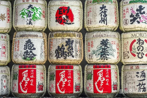 文本