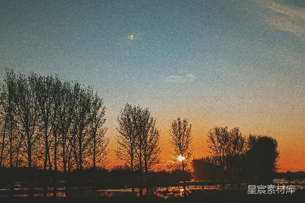 夕阳落在一些树后。