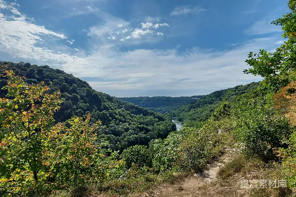 高清摄影 一片树木和灌木丛的风景