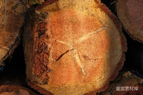 高清摄影 一堆有十字架的木头