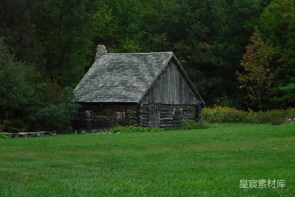 高清摄影 白天，棕色木屋位于绿色树木附近。
