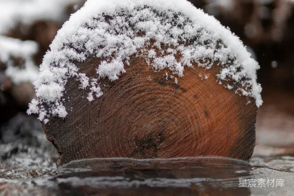 高清摄影 一块木头被雪覆盖着。