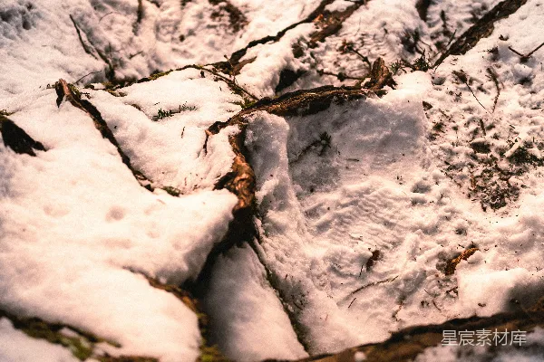 白天地面覆有积雪