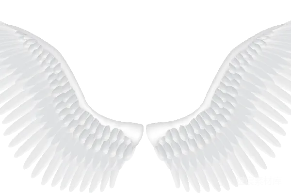 元素素材 PNG