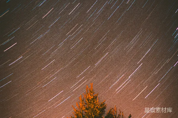 星空下的松树轮廓。