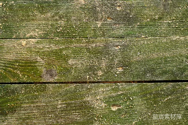 高清摄影 一只鸟栖息在木制栅栏上