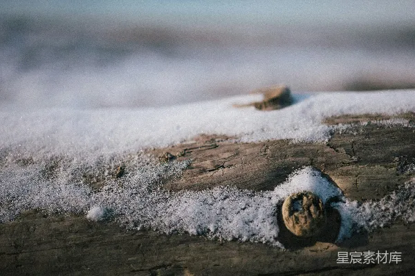 高清摄影 一块上面有雪的木头