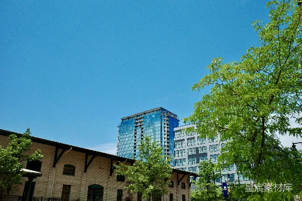 城市景观中有现代玻璃建筑、旧砖结构和树木。