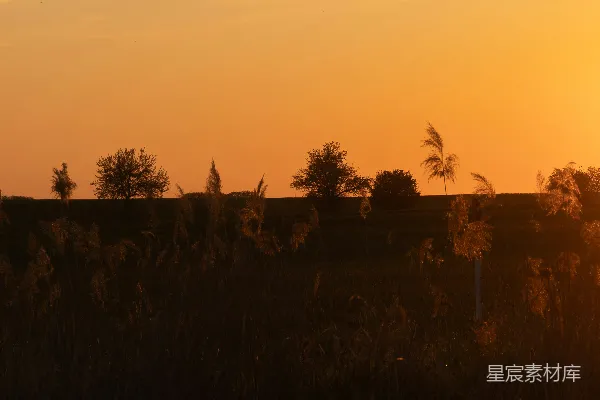 金色夕阳映照着一幅轮廓鲜明的风景画。