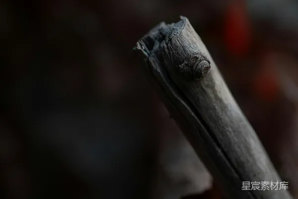 高清摄影 一张烧焦的棍子的特写。