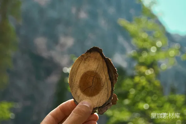 高清摄影 拿着棕色木头原木的人