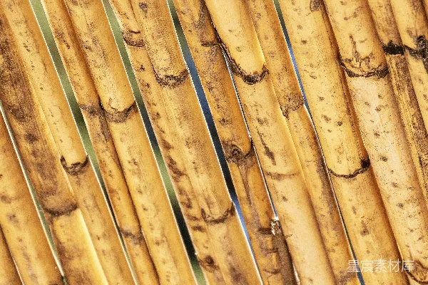 高清摄影 竹篱笆的特写视角