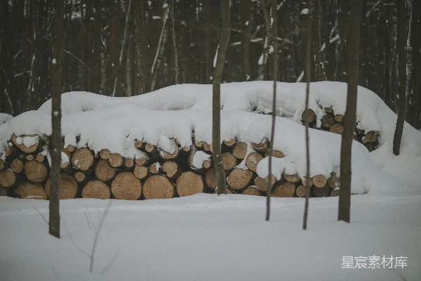 高清摄影 一堆木头堆在雪地里