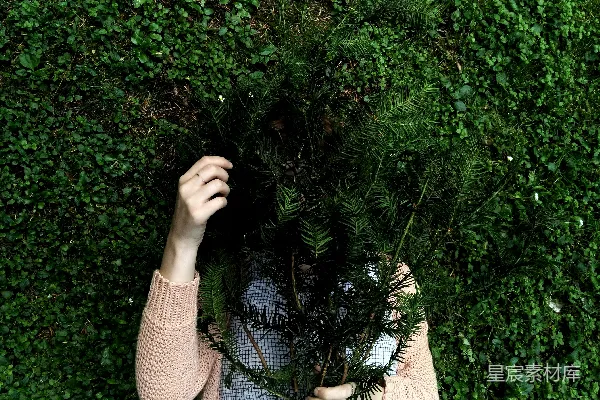高清摄影 隐藏在绿叶植物后面的人
