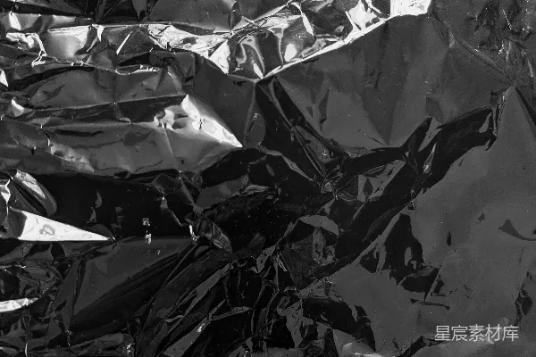 高清摄影 灰度照片中的落叶