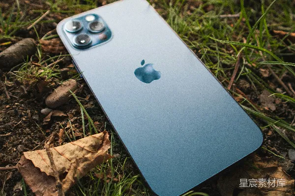 白色iPhone 4置于棕色干树叶上